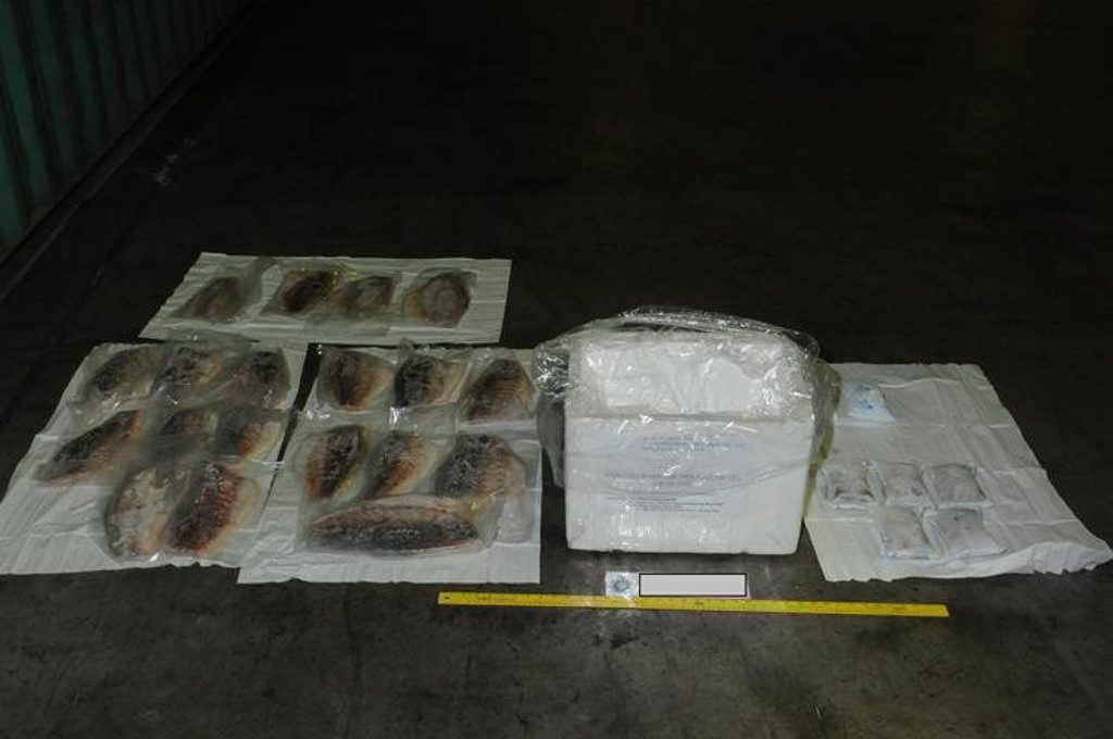 Two men have been charged with drug offences by the Joint Organised Crime Group after attempting to import 88 kilograms of heroin and 21 kilograms of methamphetamine in frozen fish fillets. Two men have been charged with drug offences by the Joint Organised Crime Group after attempting to import 88 kilograms of heroin and 21 kilograms of methamphetamine in frozen fish fillets.